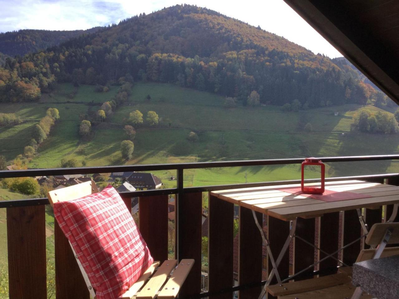 Erikas Haus Apartment Münstertal Exterior foto