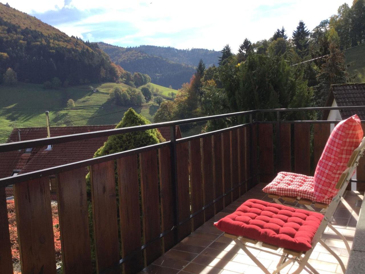 Erikas Haus Apartment Münstertal Exterior foto
