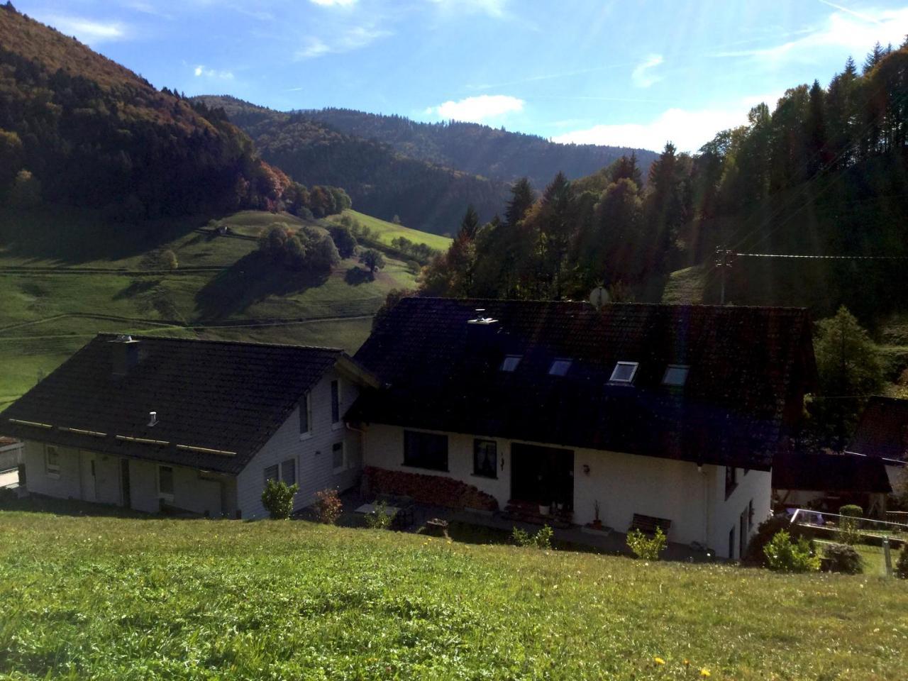 Erikas Haus Apartment Münstertal Exterior foto