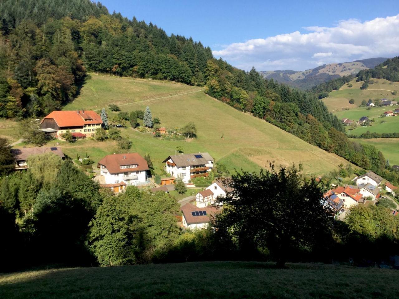Erikas Haus Apartment Münstertal Exterior foto