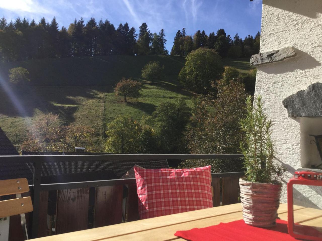 Erikas Haus Apartment Münstertal Exterior foto