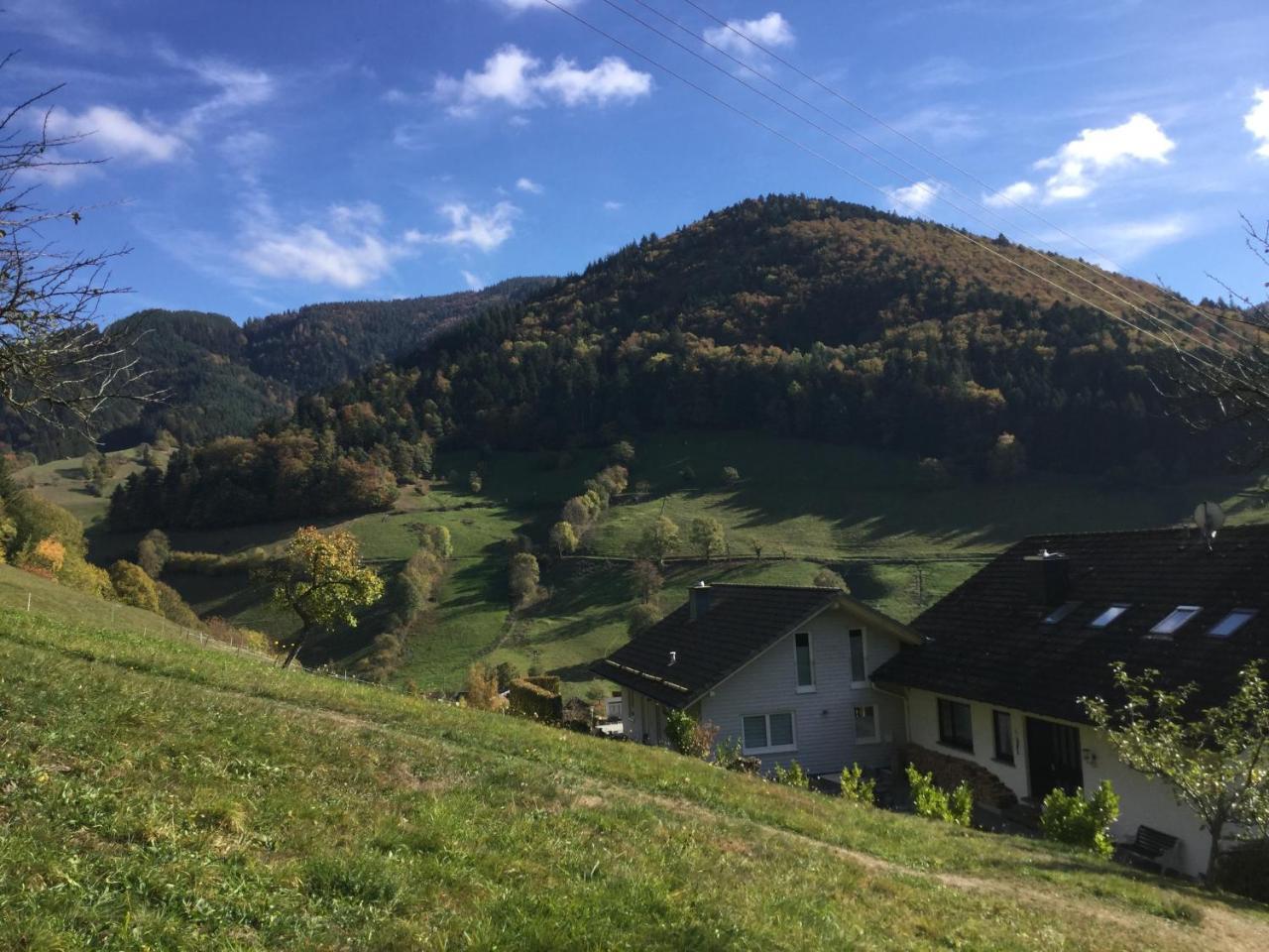 Erikas Haus Apartment Münstertal Exterior foto