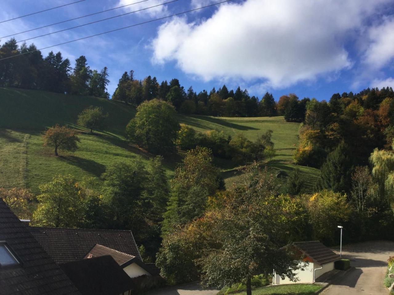 Erikas Haus Apartment Münstertal Exterior foto