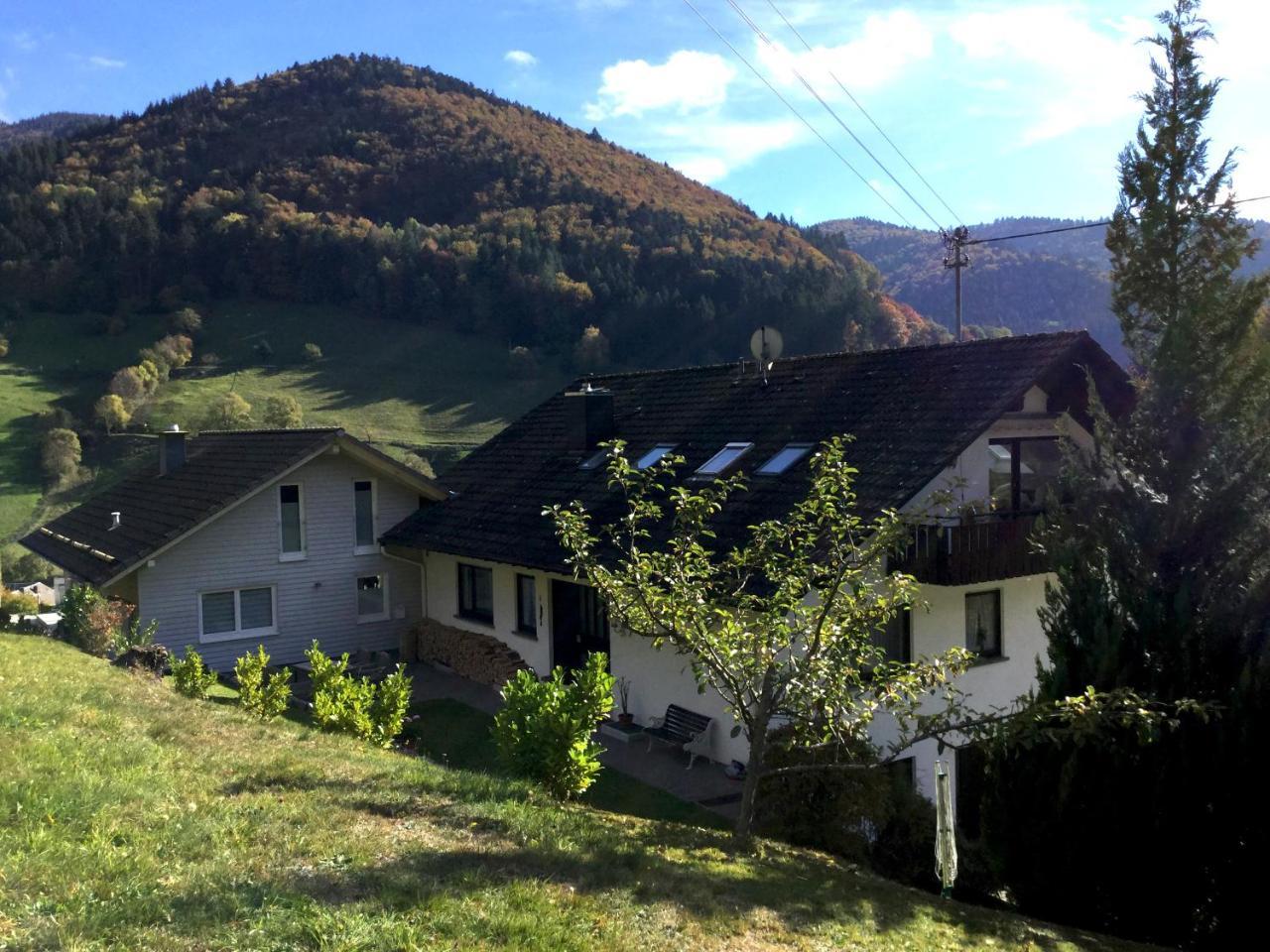 Erikas Haus Apartment Münstertal Exterior foto